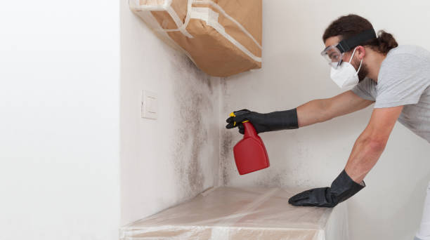 Professional Mold Remediation technician working in Bellaire, MI